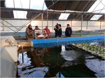 透過(guò)央視看漁業(yè):京城老魚(yú)背后的鄉(xiāng)村振興新賽道