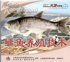 鳙魚(yú)養(yǎng)殖 水產(chǎn)品生產(chǎn)流程圖譜 鳙魚(yú)