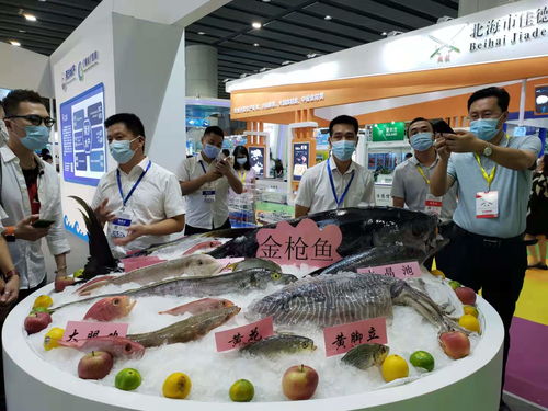 海水產(chǎn)品進(jìn)內(nèi)陸系列活動(dòng)在廣州啟航