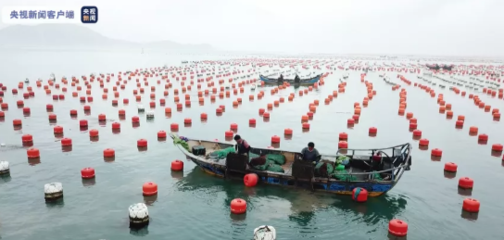 逐浪而行!全國(guó)首宗海洋漁業(yè)碳匯交易完成