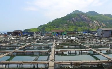 粵海飼料國(guó)內(nèi)特種水產(chǎn)飼料領(lǐng)軍者!打造現(xiàn)代養(yǎng)殖差異化競(jìng)爭(zhēng)優(yōu)勢(shì)和水產(chǎn)飼料全能型企業(yè)!市場(chǎng)需求前景廣闊!