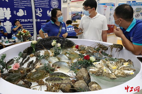 中國 廣州 國際漁業(yè)博覽會舉行