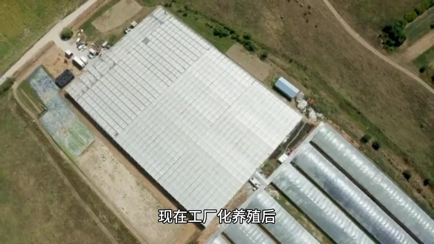 溫州首個(gè)!蒼南這個(gè)基地建成投用!溫州黔羽智慧水產(chǎn)養(yǎng)殖基地